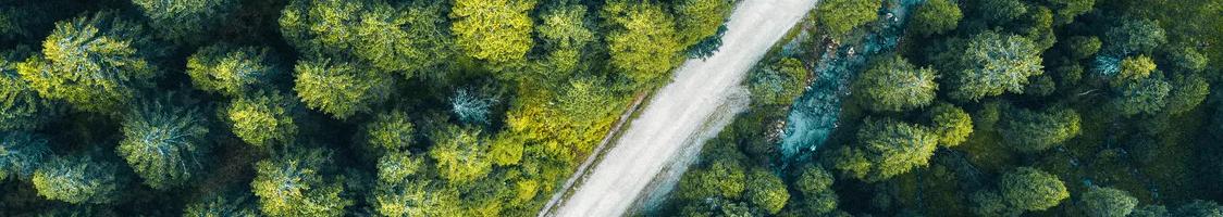 Aerial view on country road through the green pine forest.