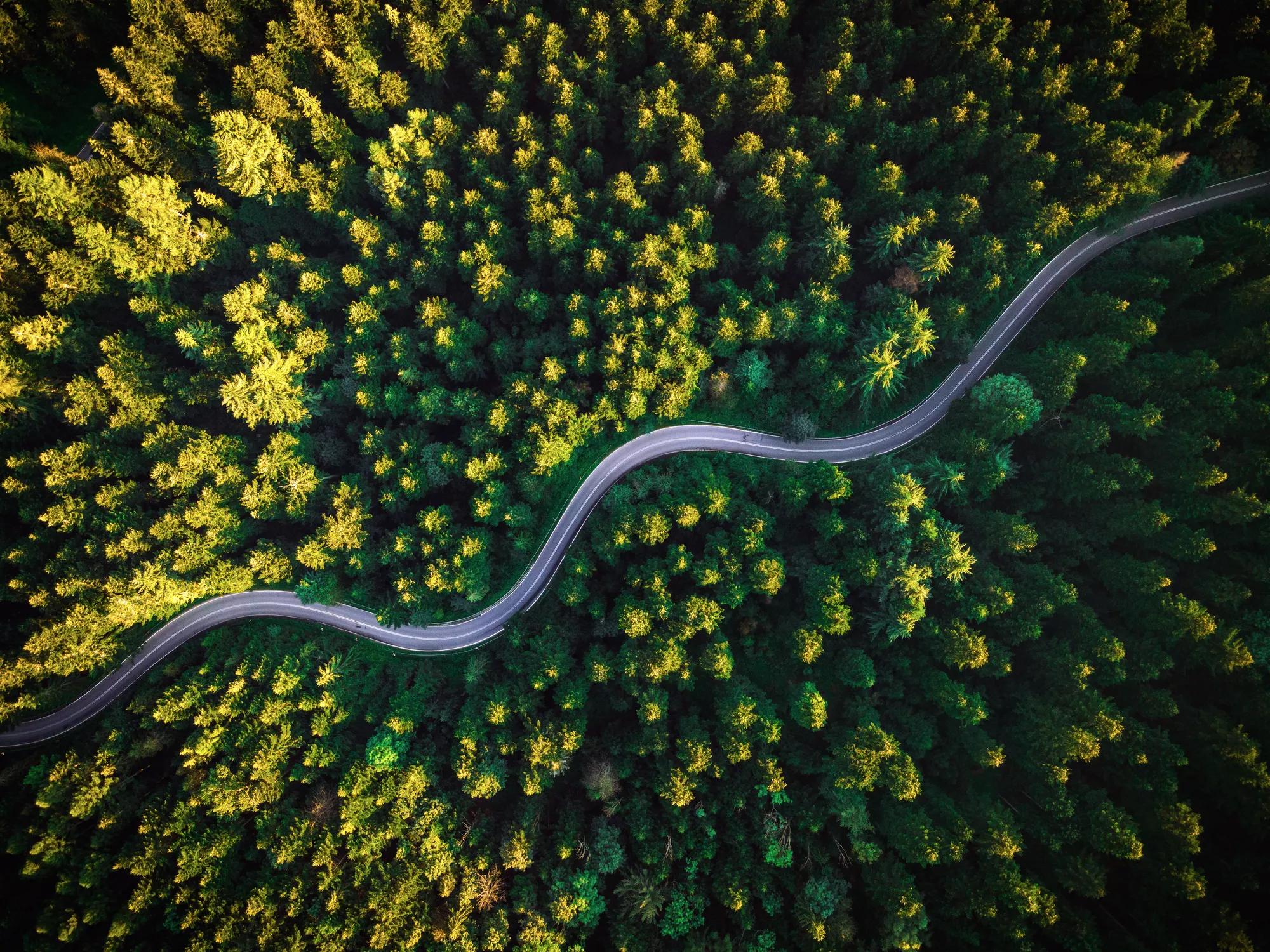 AdobeStock_370603624_PFG