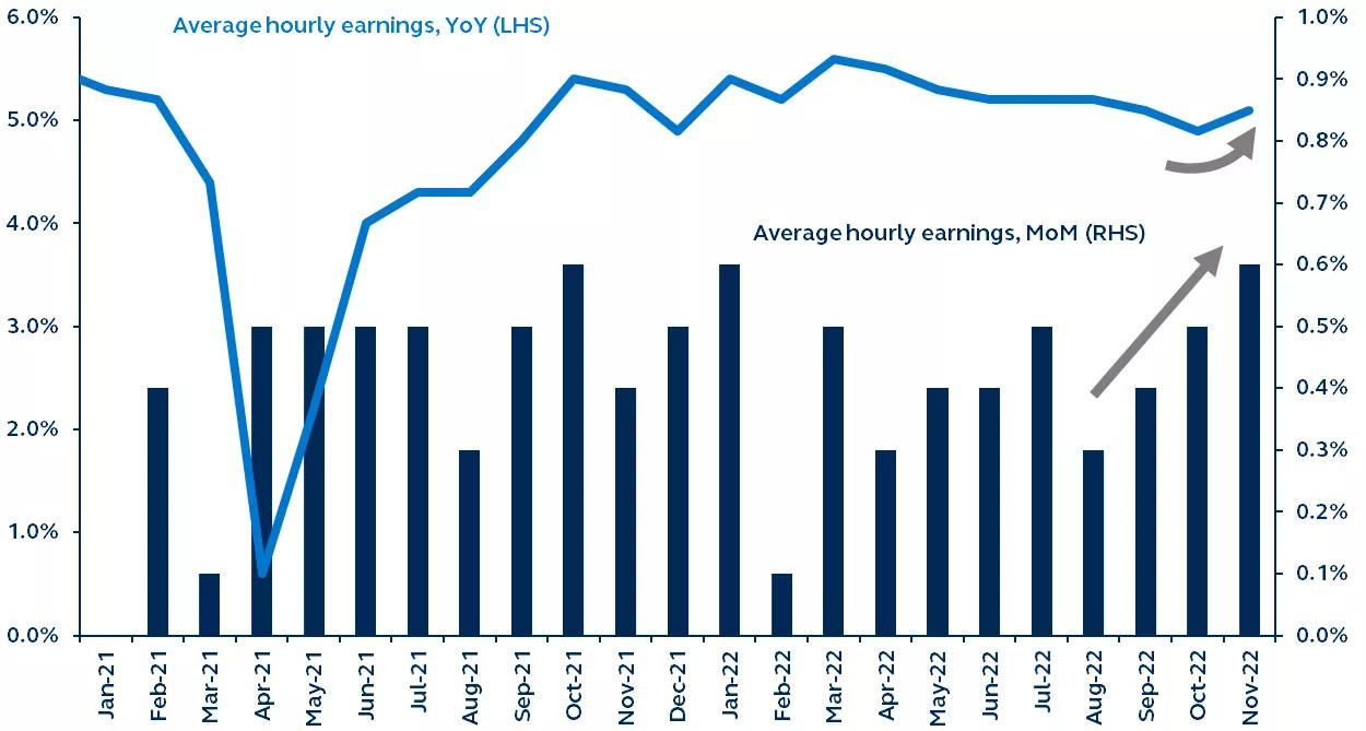 Yearly and monthly average hourly earnings from January 2021 - November 2022.