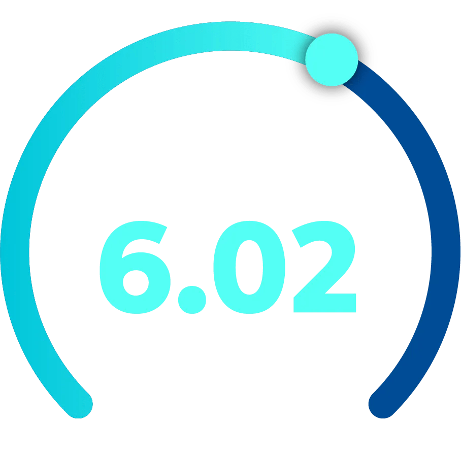 Graphic showing a 6.02 out of 10 index score for all businesses.