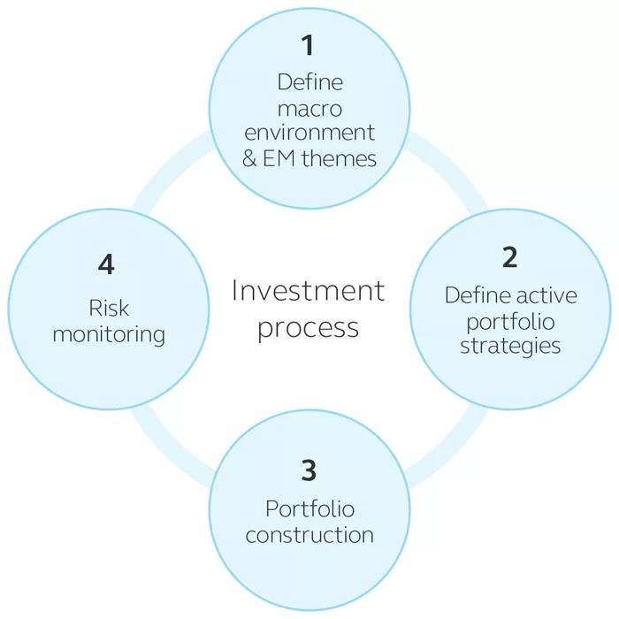 Finisterre investment process