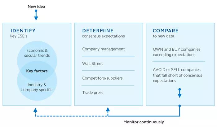 Investment process