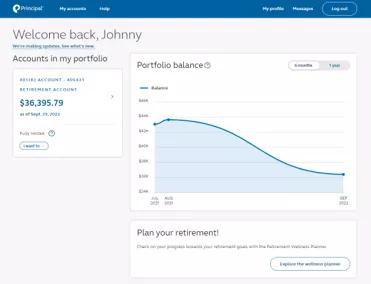 Participant website account balance page