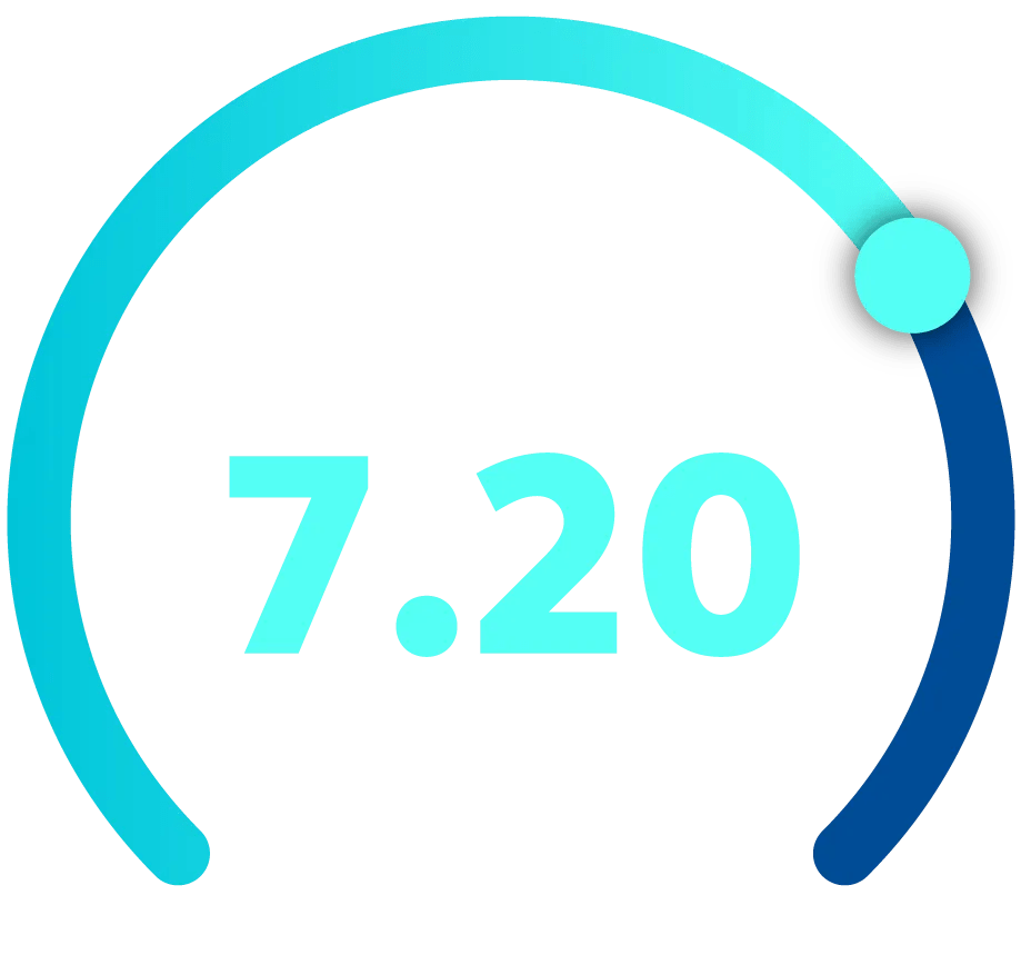 Graphic showing a 7.20 out of 10 index score for large businesses.
