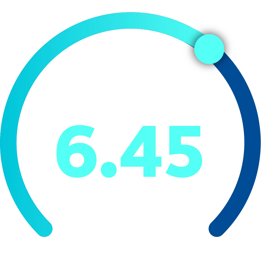 Graphic showing a 6.45 out of 10 index score for large businesses.