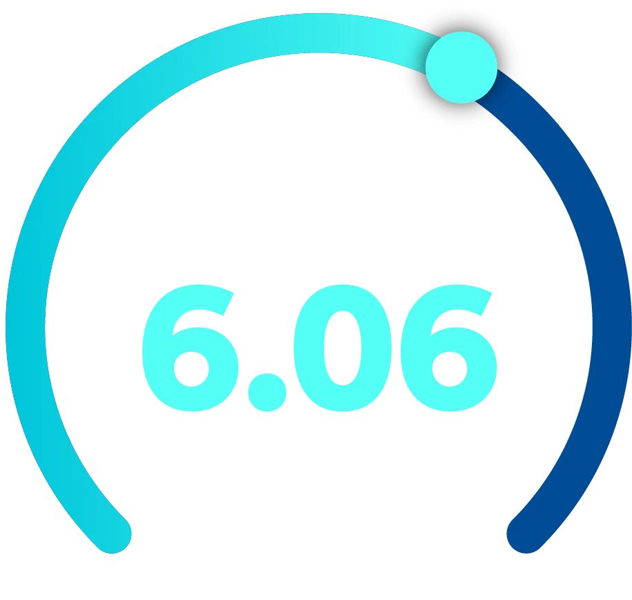 Graphic showing a 6.06 out of 10 index score for all businesses.