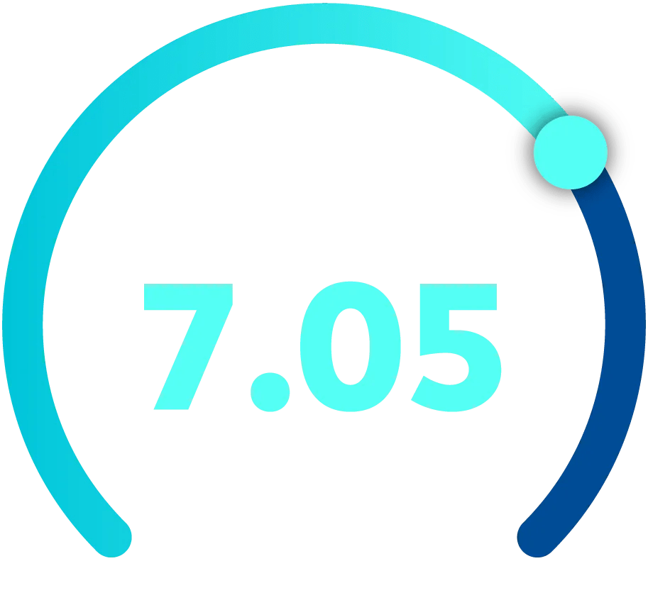 Graphic showing a 7.05 out of 10 index score for large businesses.