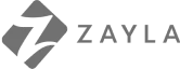 Zayla - Executive compensation consulting